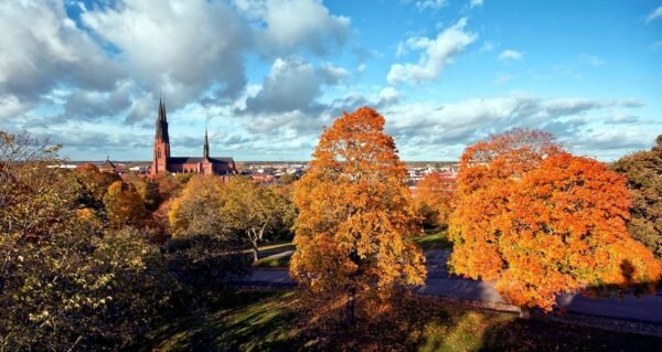 Audio tour in Uppsala (in English) - Image 9