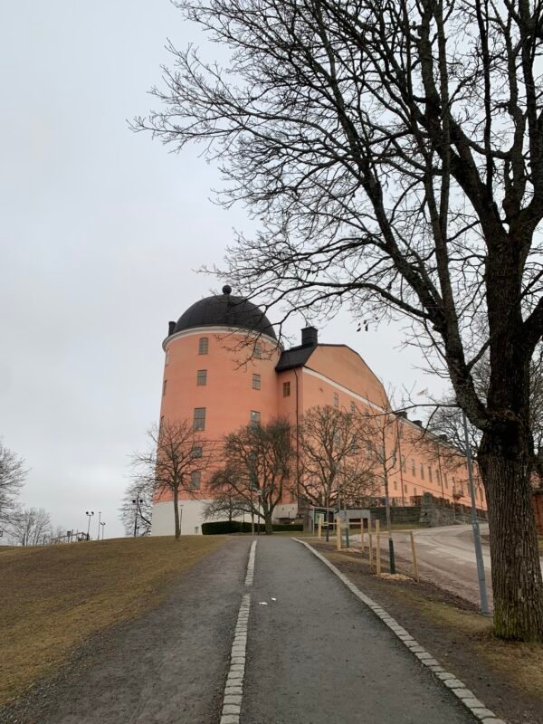 Audio tour in Uppsala (in English) - Image 10
